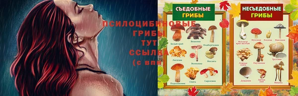 СК Армянск