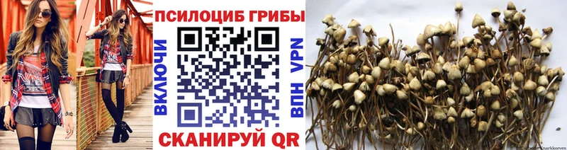 Галлюциногенные грибы мицелий  ссылка на мегу ТОР  Далматово 